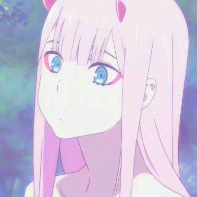 游客花钱雇轿夫抬狗逛峡谷